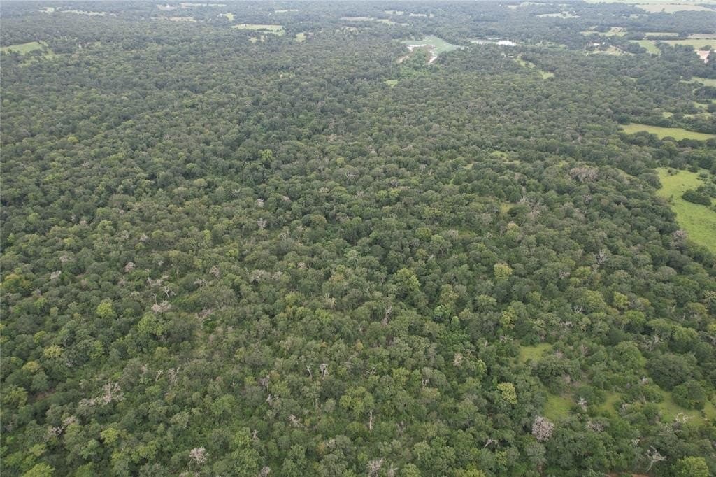 19.1 acres in Robertson County - photo 8