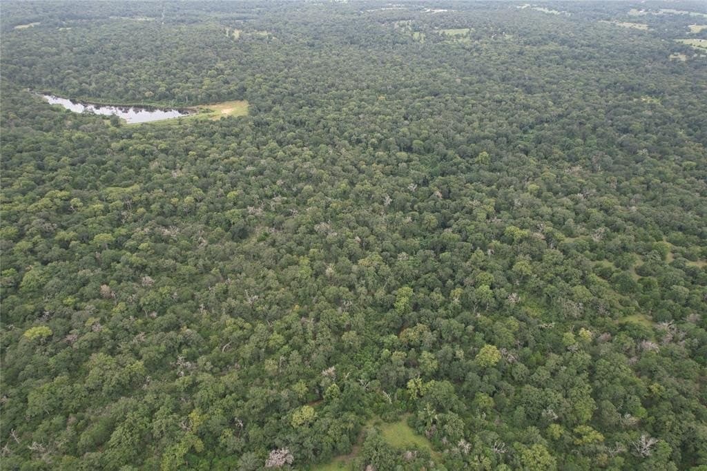 19.1 acres in Robertson County - photo 10