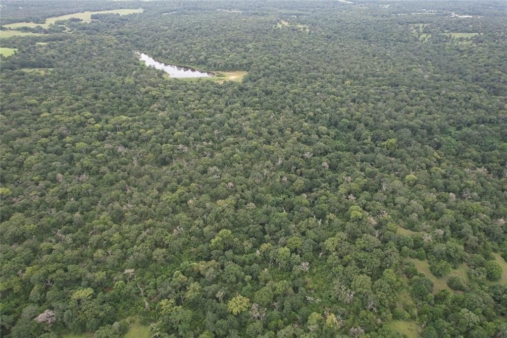 19.1 acres in Robertson County - photo 13