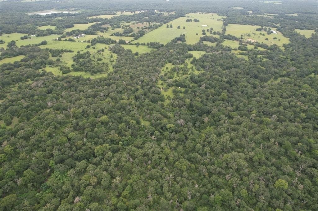 19.1 acres in Robertson County - photo 6