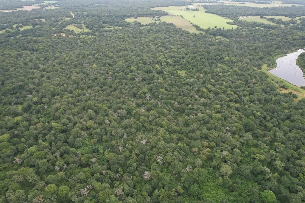 19.1 acres in Robertson County - photo 20