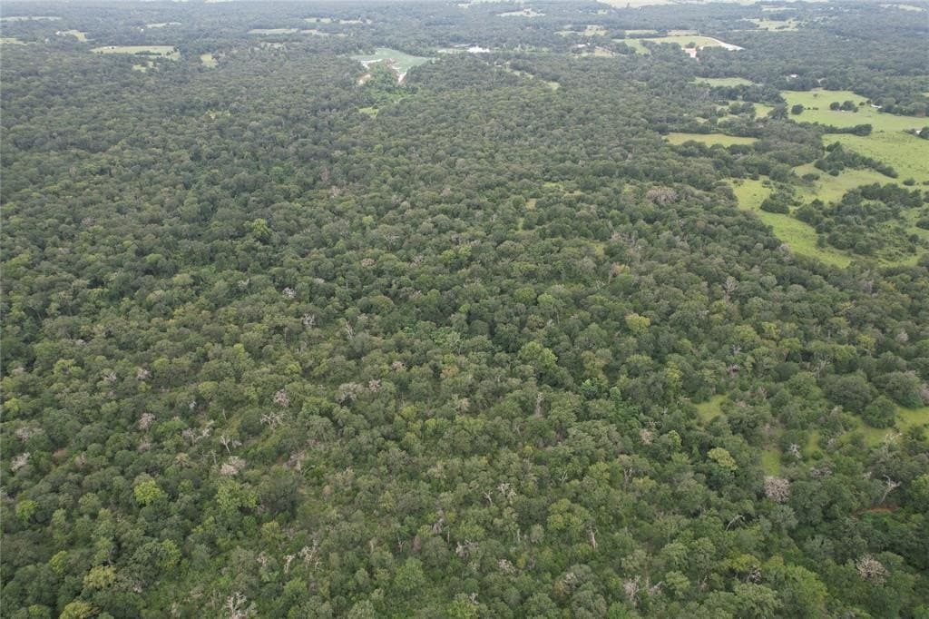 19.1 acres in Robertson County - photo 7