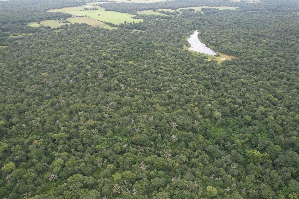 19.1 acres in Robertson County - photo 18