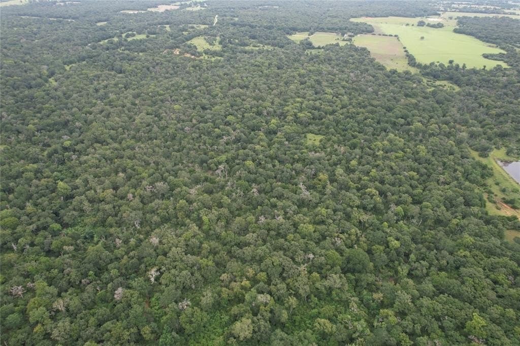 19.1 acres in Robertson County - photo 21