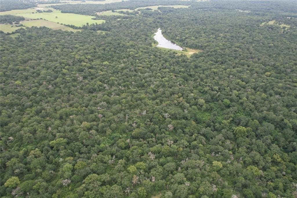 19.1 acres in Robertson County - photo 17