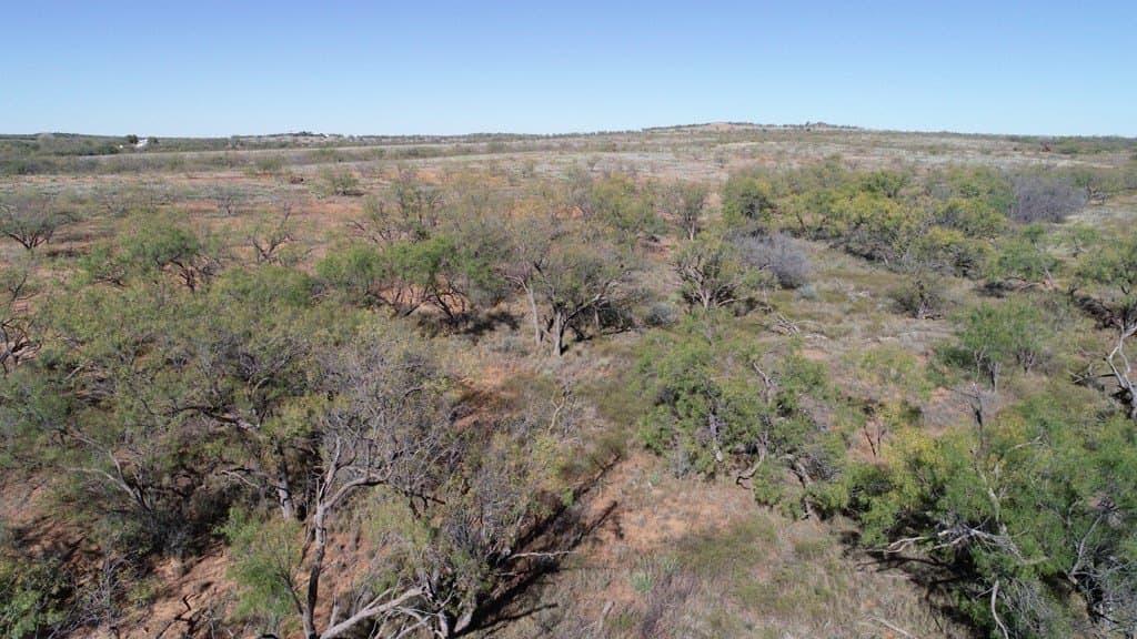 160 acres in Fisher County - photo 6