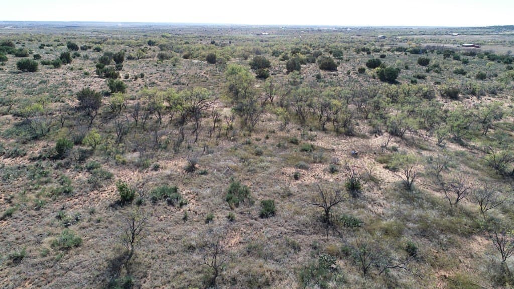 160 acres in Fisher County - photo 11