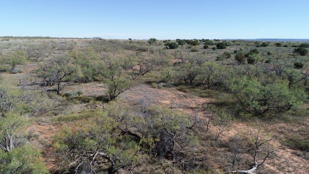 160 acres in Fisher County - photo 3