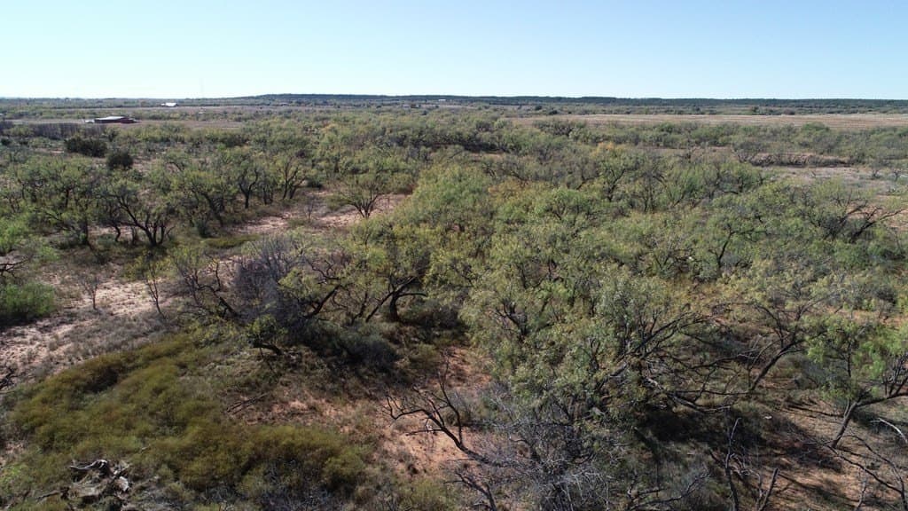 160 acres in Fisher County - photo 4
