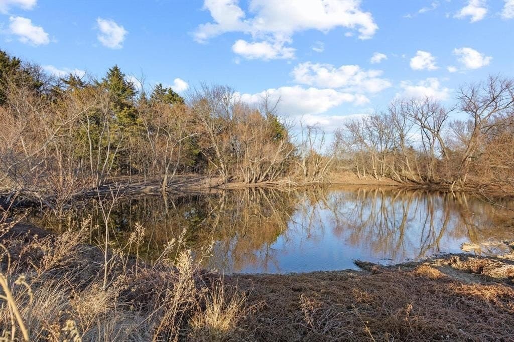 20 acres in Rains County - photo 20