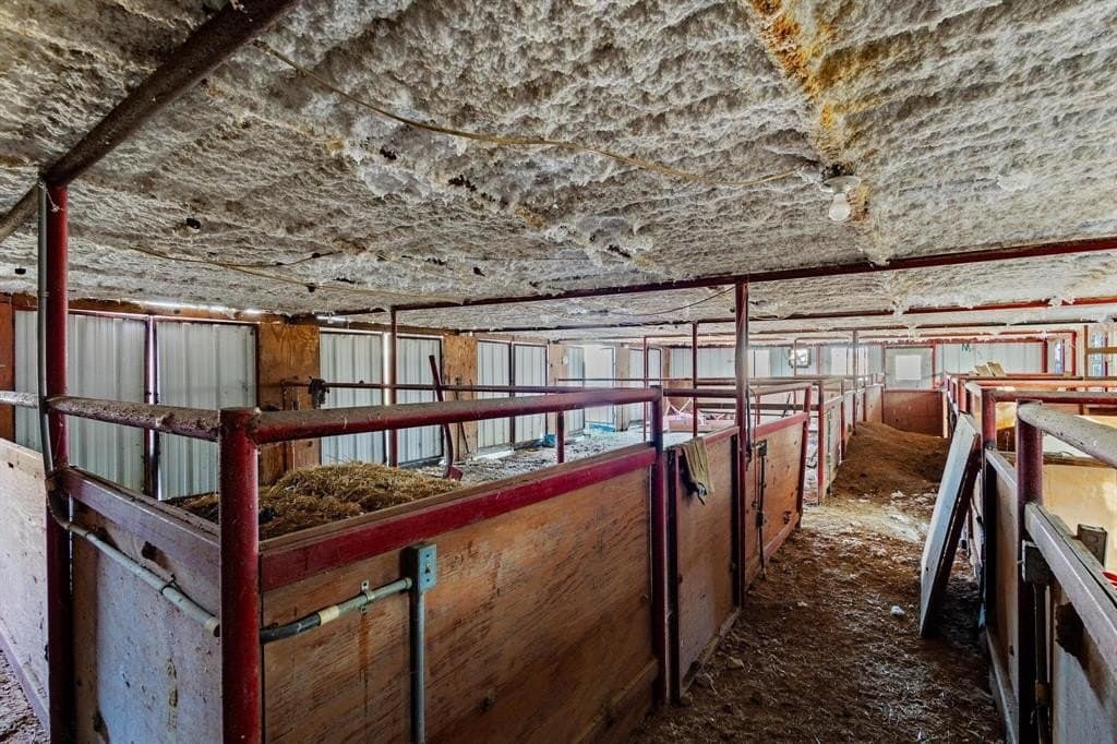 20 acres in Rains County - photo 19