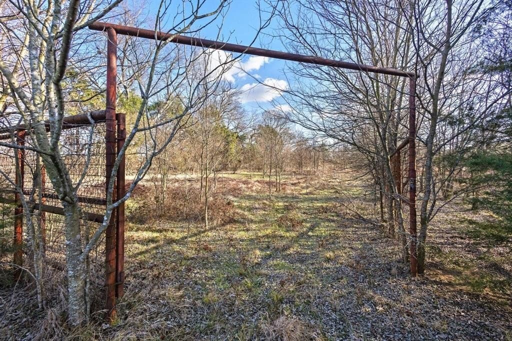 20 acres in Rains County - photo 16