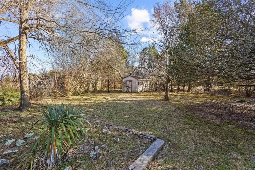 20 acres in Rains County - photo 22