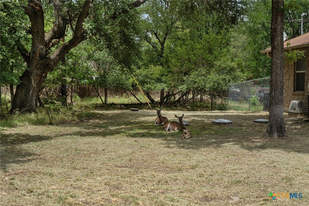 0.2 acres in Bell County - photo 3