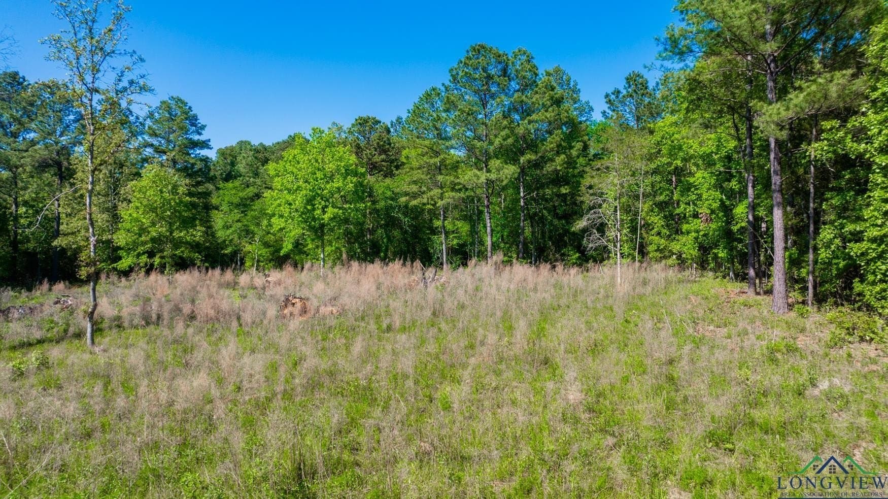 10.81 acres in Gregg County - photo 3