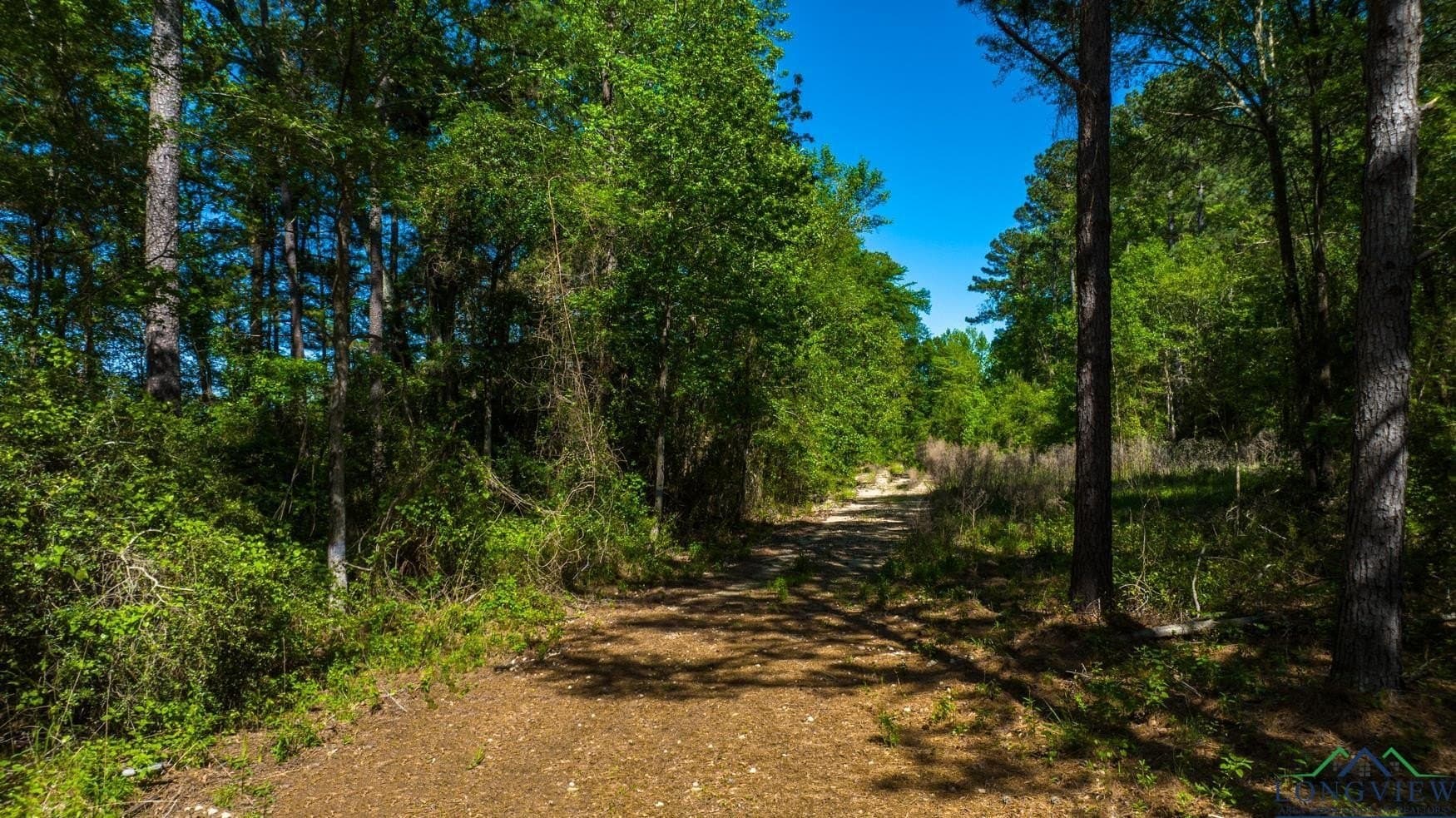 10.81 acres in Gregg County - photo 5