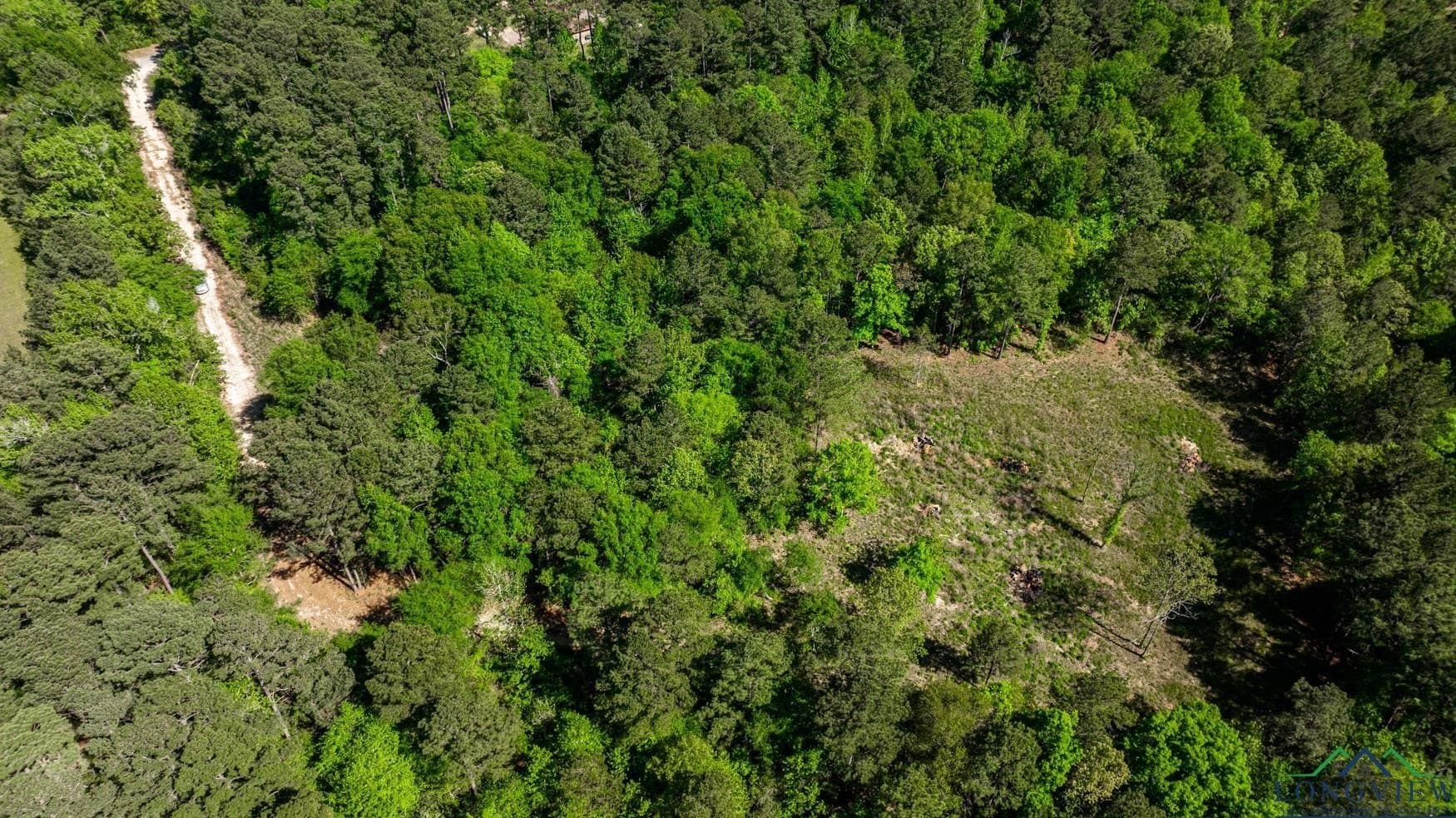 10.81 acres in Gregg County - photo 9