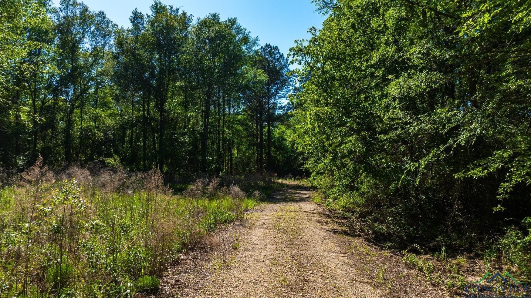 10.81 acres in Gregg County - photo 4
