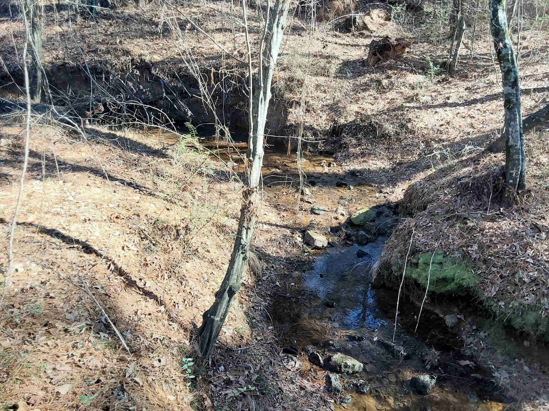 5.34 acres in Rusk County - photo 7