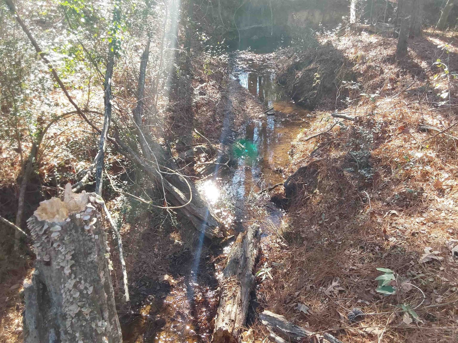 5.34 acres in Rusk County - photo 8
