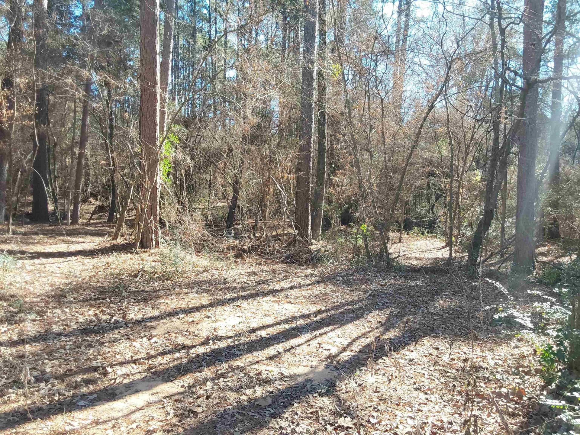 5.34 acres in Rusk County - photo 6