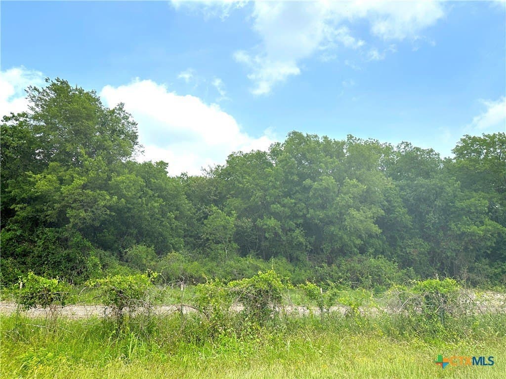 13.3 acres in McLennan County - photo 5