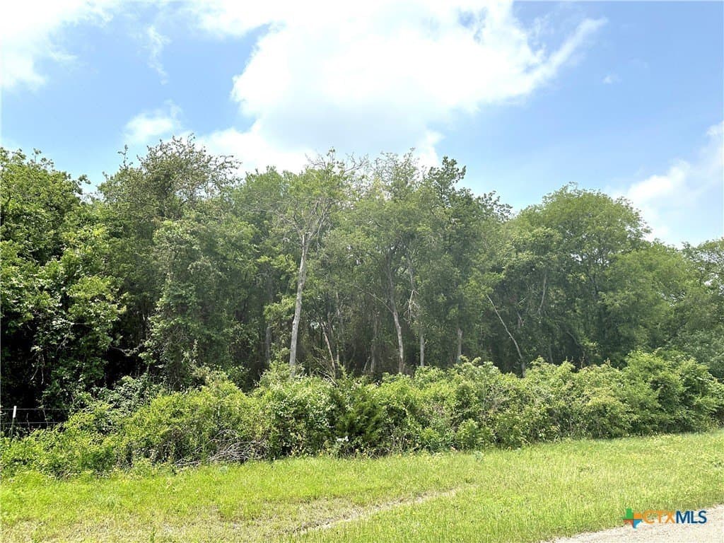 13.3 acres in McLennan County - photo 8