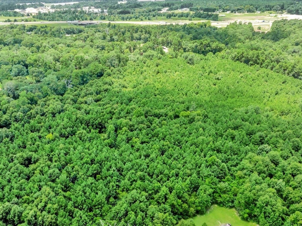 12.24 acres in Texas County - photo 4