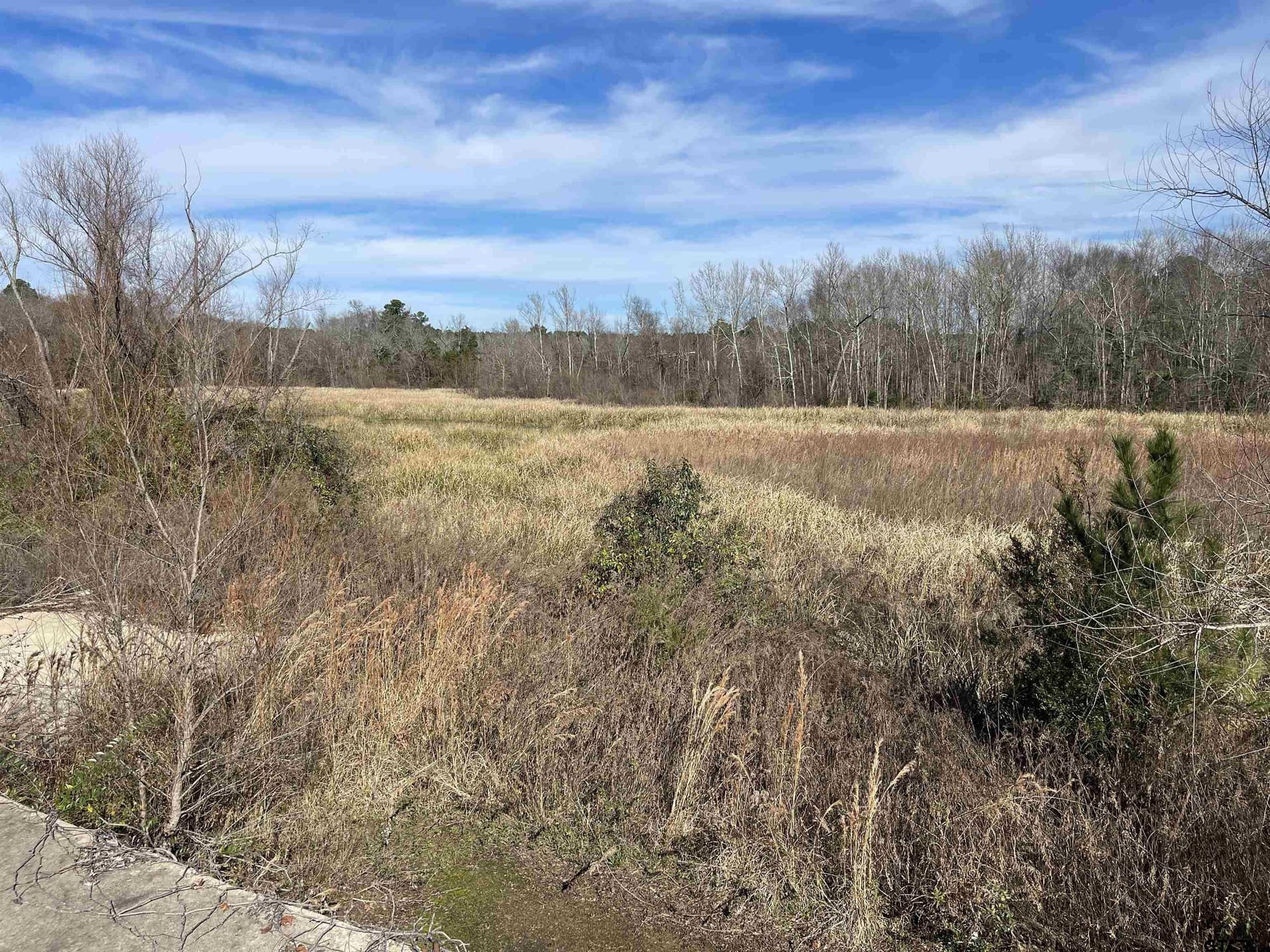 0.19 acres in Smith County - photo 4