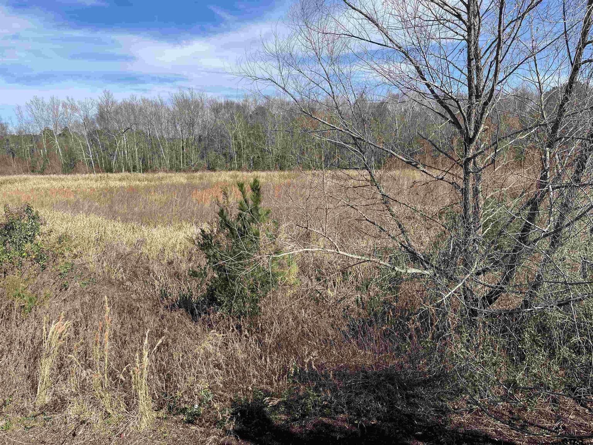 0.19 acres in Smith County - photo 5