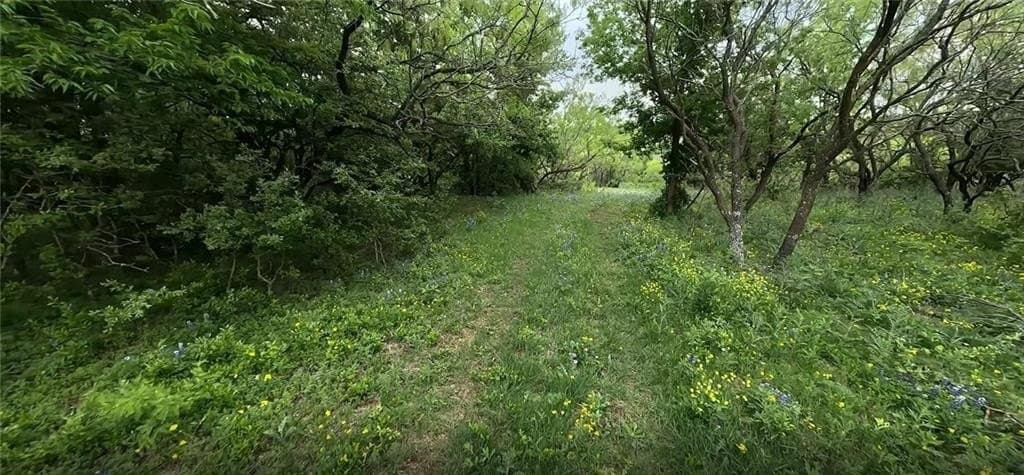 221 acres in McLennan County - photo 3