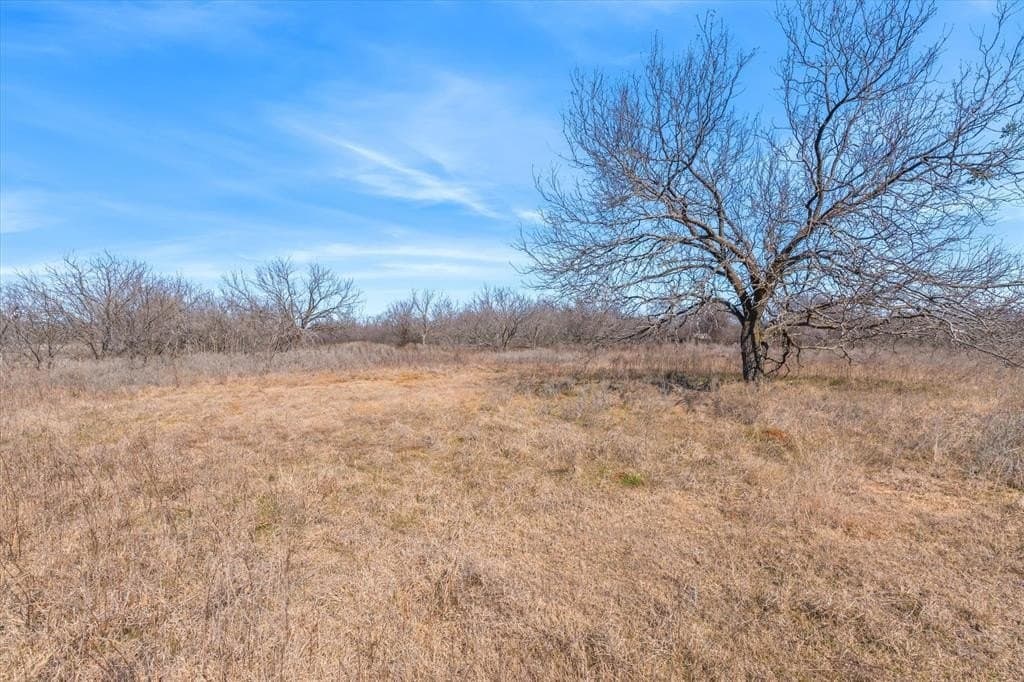 103.25 acres in Hill County - photo 17