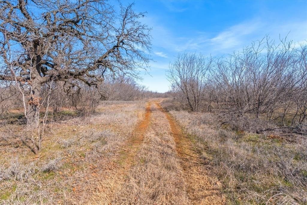 103.25 acres in Hill County - photo 20