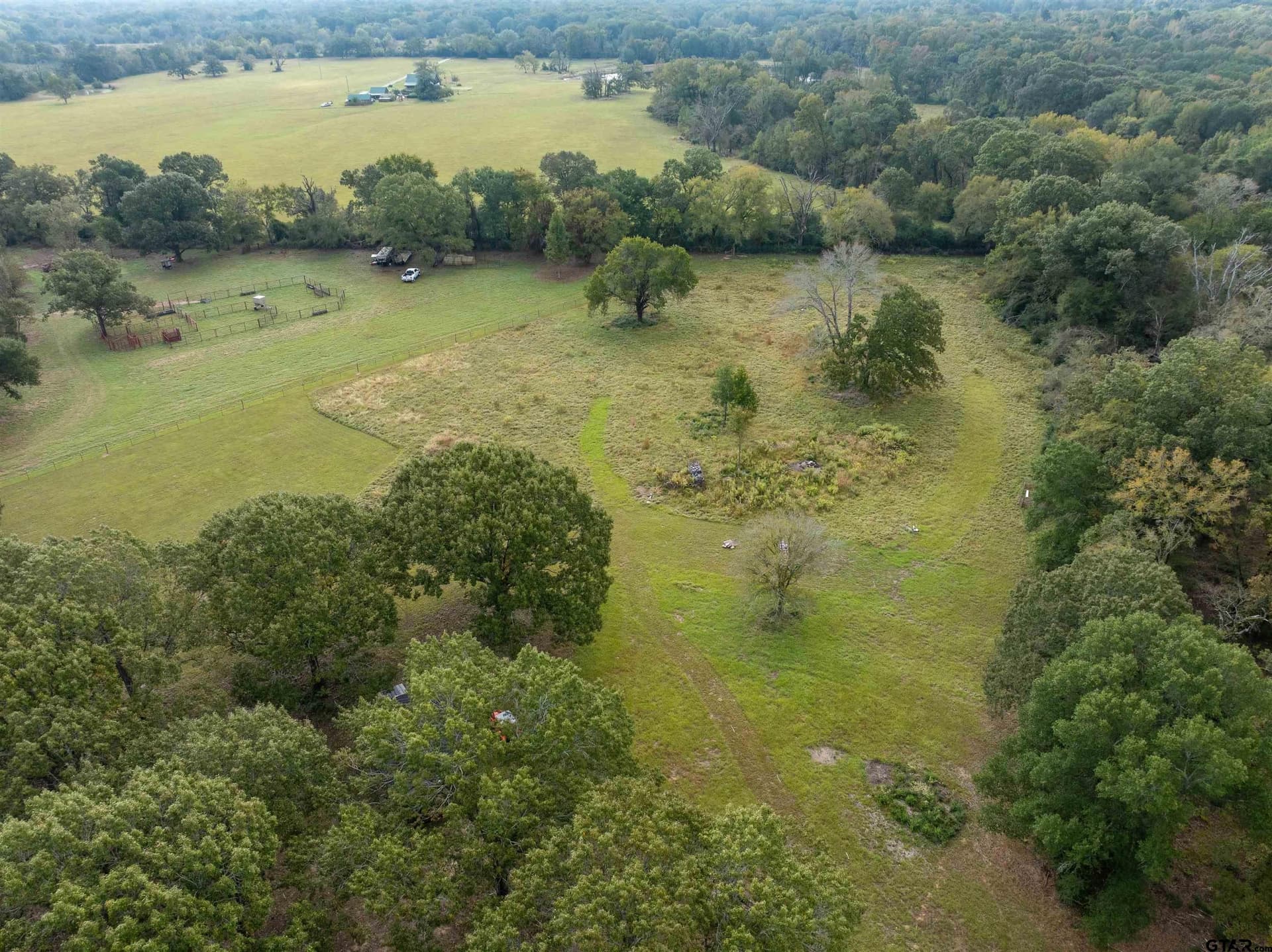 10.06 acres in Leon County - photo 17