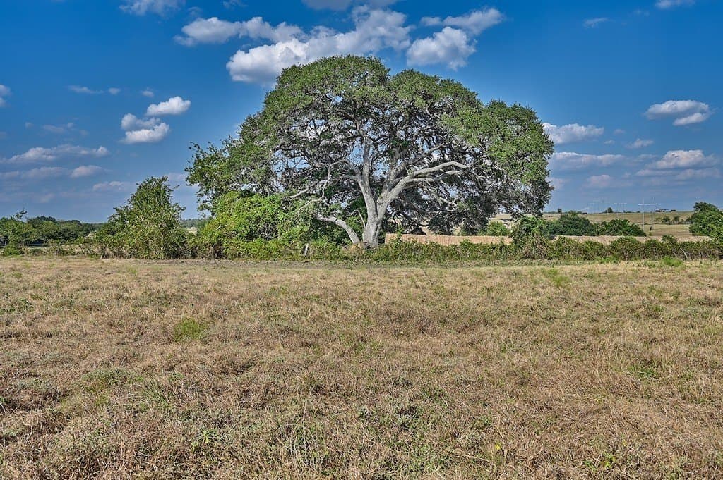86 acres in Washington County - photo 3