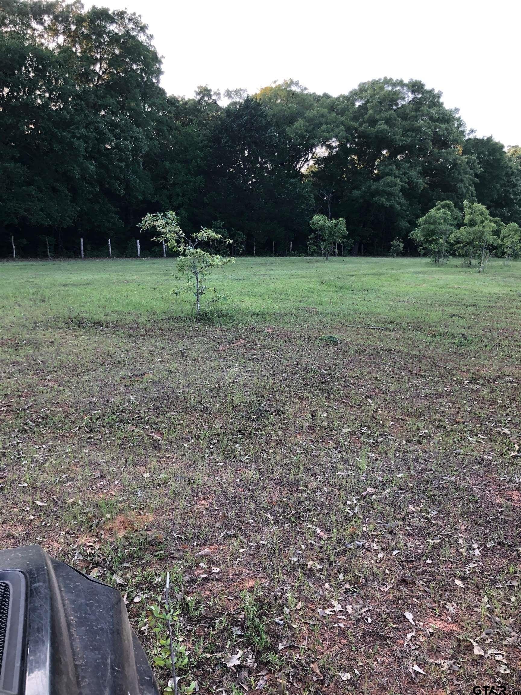 19.82 acres in Van Zandt County - photo 10