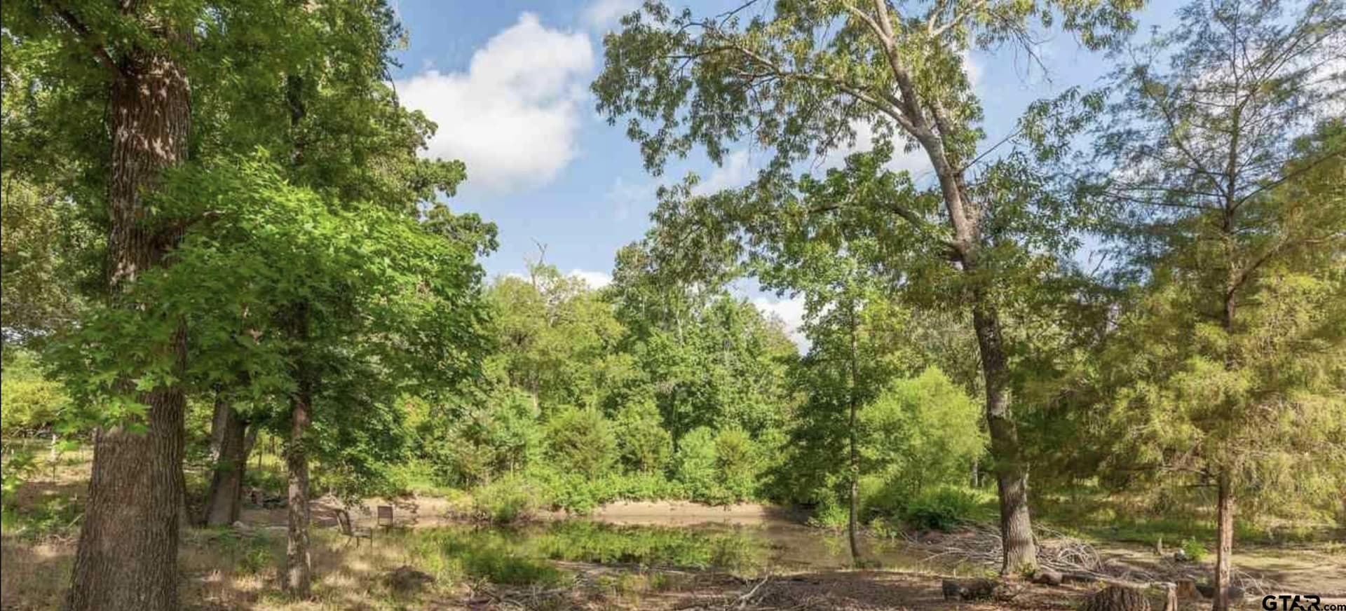 19.82 acres in Van Zandt County - photo 21