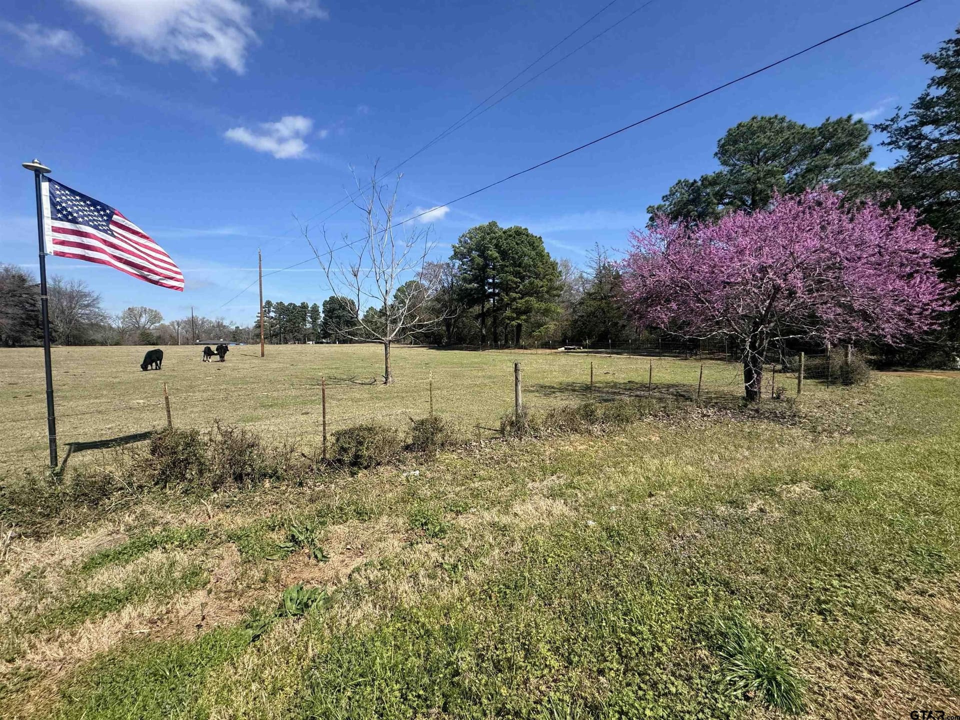 19.82 acres in Van Zandt County - photo 2