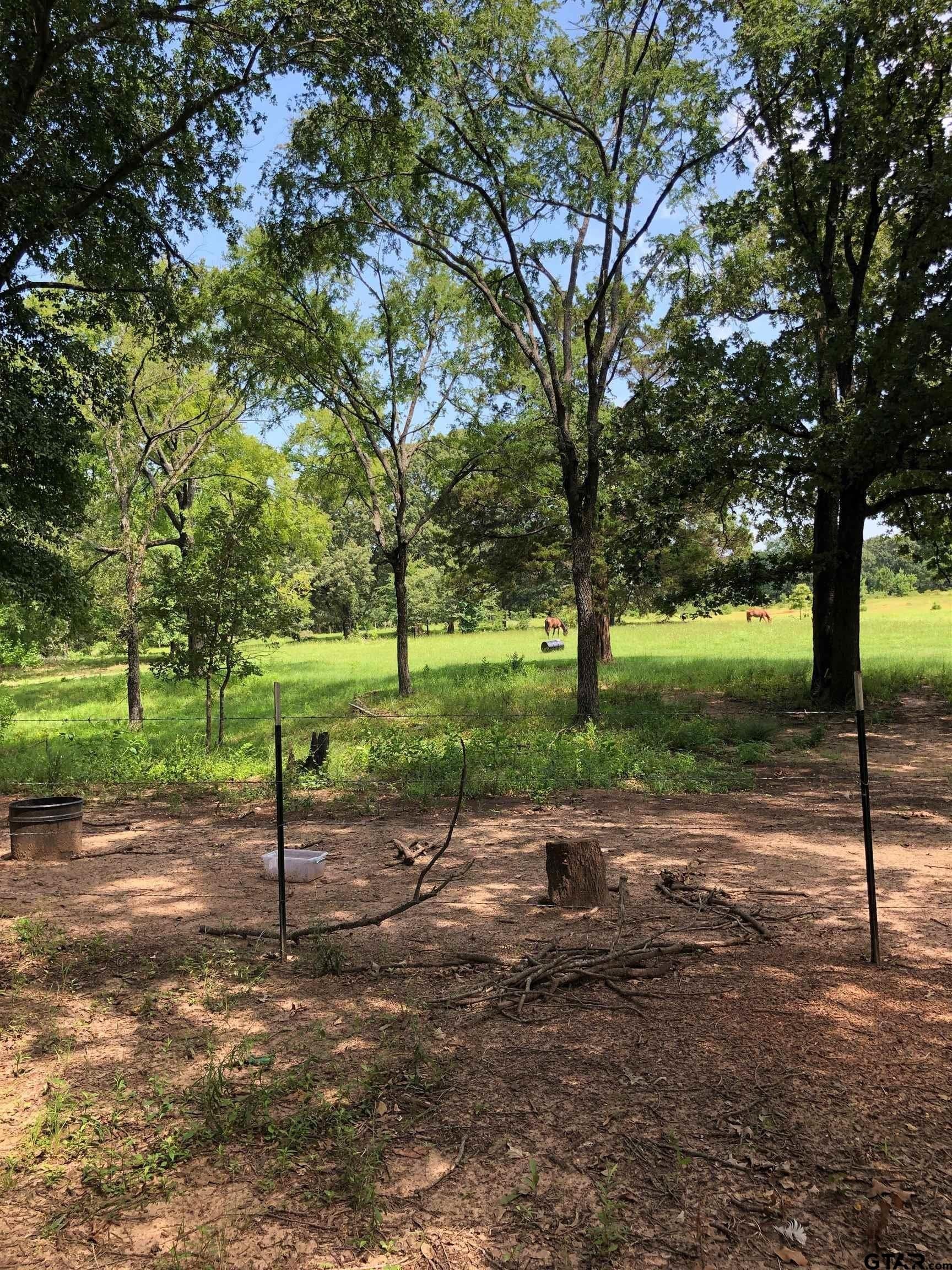 19.82 acres in Van Zandt County - photo 9