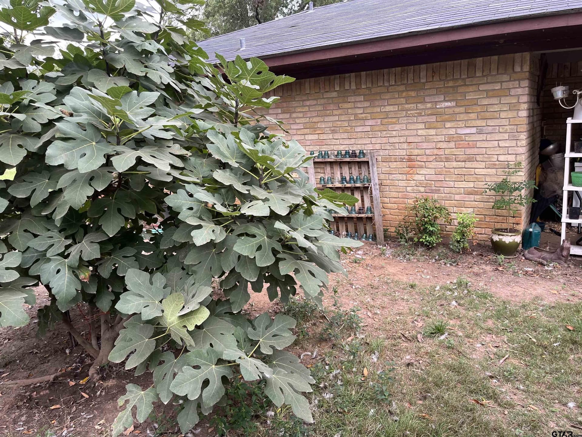 19.82 acres in Van Zandt County - photo 28