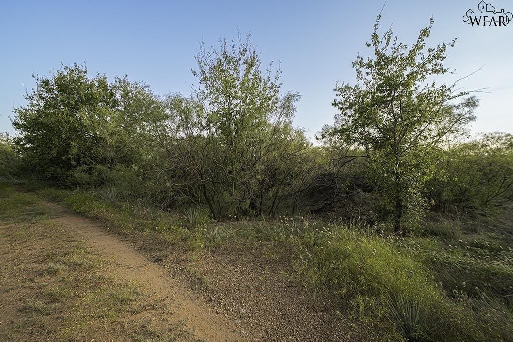 19.1 acres in Wichita County - photo 5