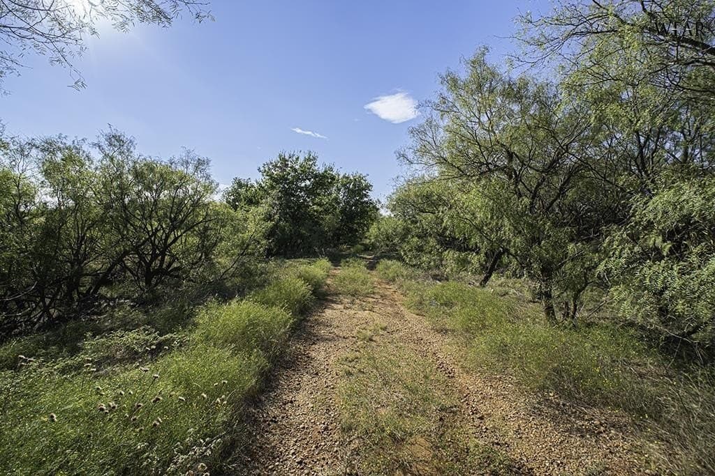 19.1 acres in Wichita County - photo 2