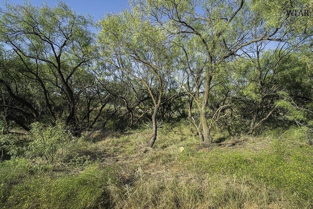 19.1 acres in Wichita County - photo 3