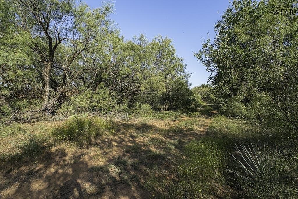 19.1 acres in Wichita County - photo 4