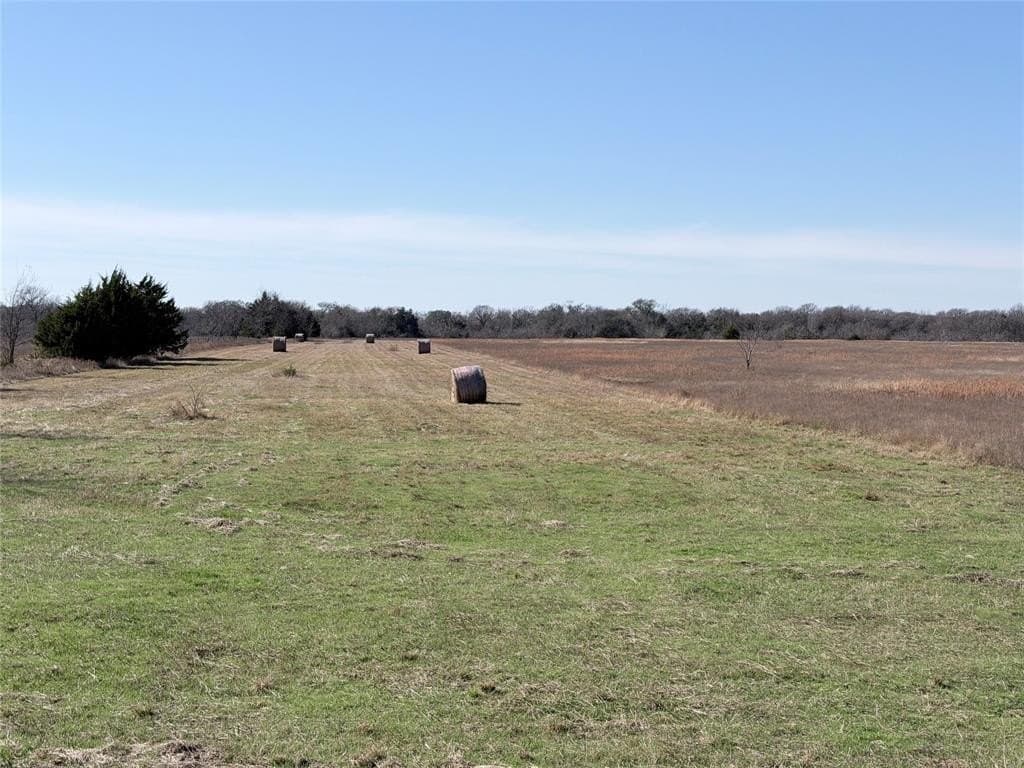 40.13 acres in Navarro County - photo 5