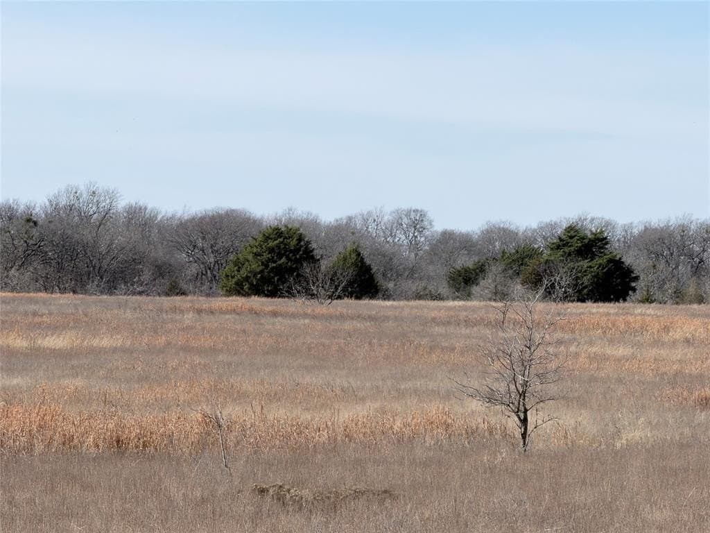 40.13 acres in Navarro County - photo 3
