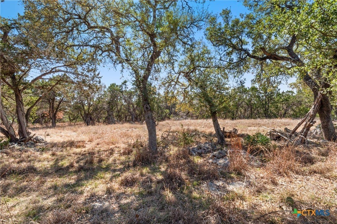 17.47 acres in Hays County - photo 10