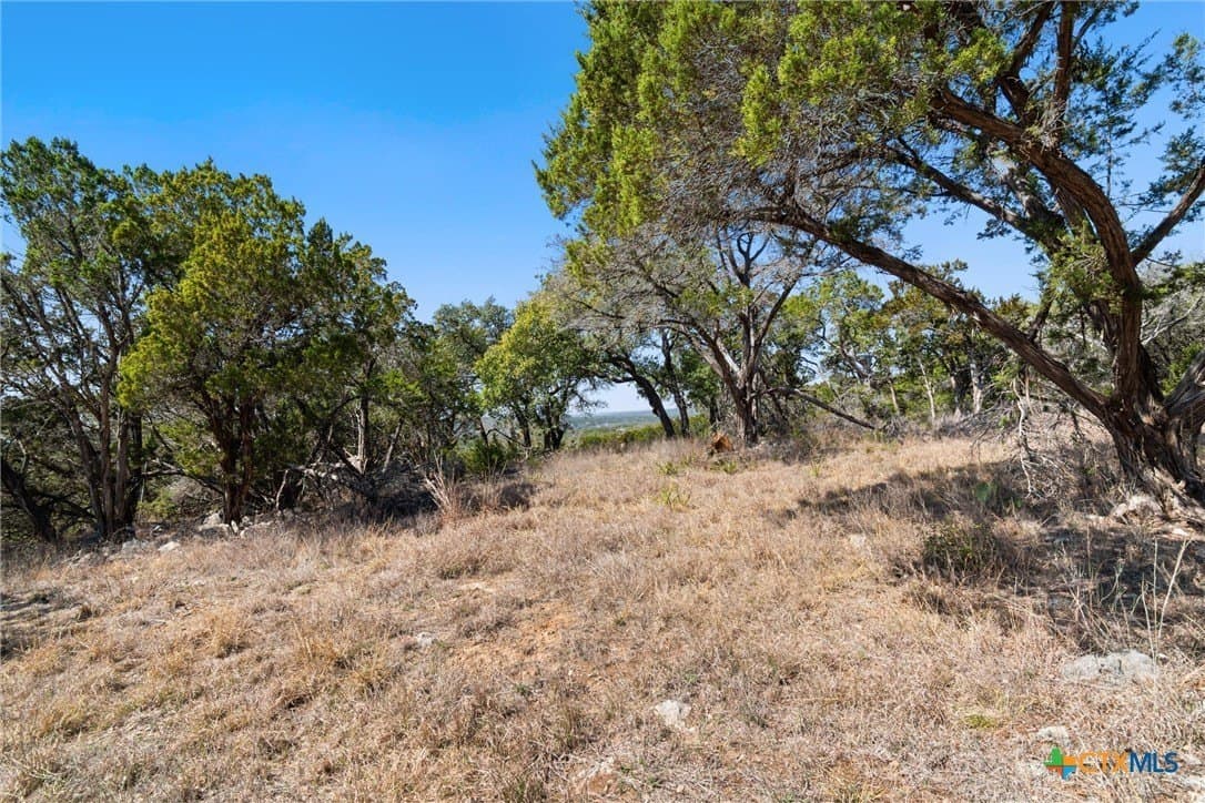 17.47 acres in Hays County - photo 32