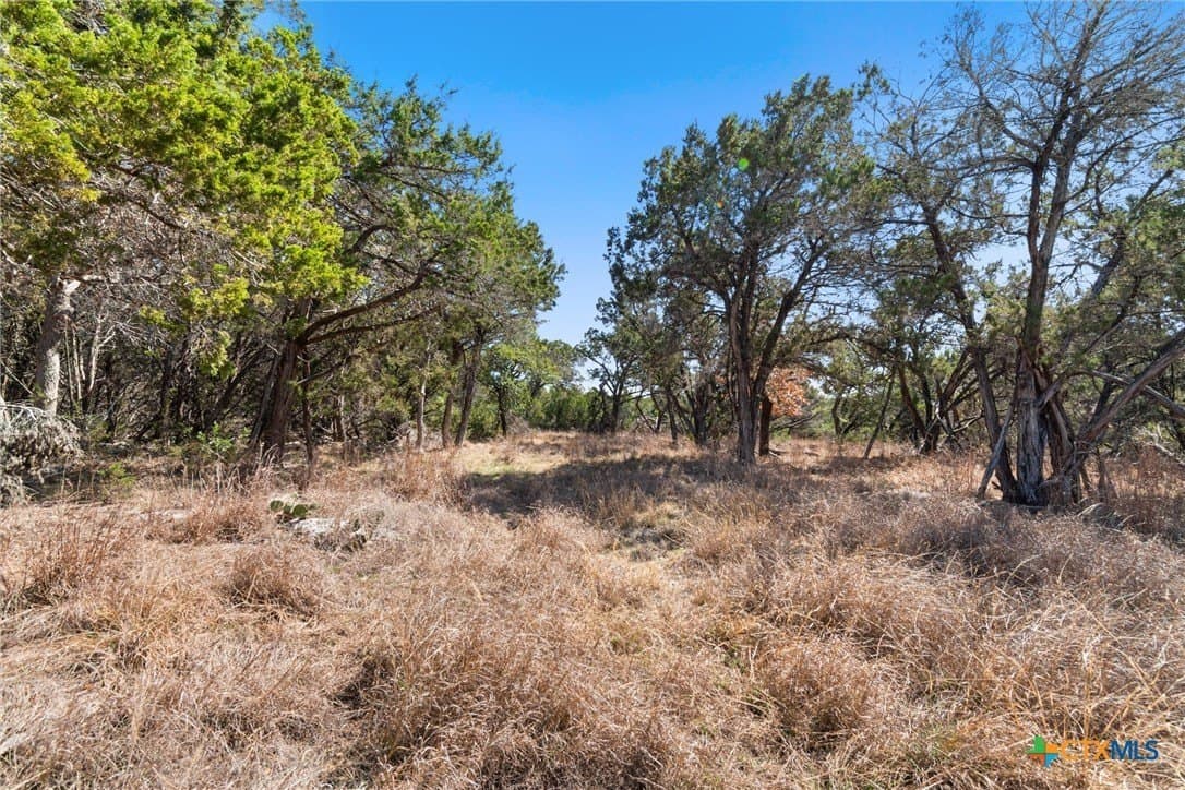 17.47 acres in Hays County - photo 11