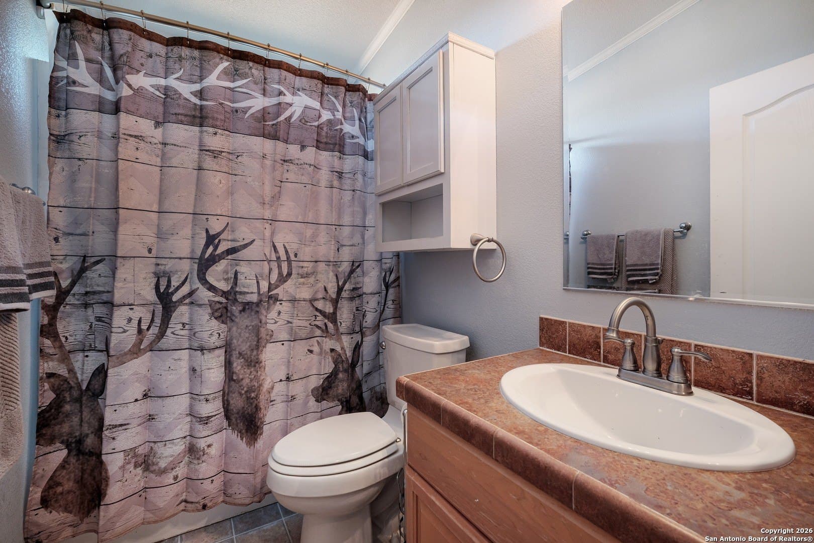 21.16 acres in Guadalupe County - photo 31
